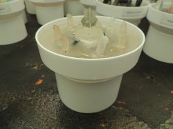 Модуль для GENEZIS купить, УНИВЕРСАЛЬНЫЙ ГЕНЕРАТОР АСТРАЛЬНОГО ФЛЮИДА, радионик машина, торсионный генератор, радионика, псионика, машина Вельца, оргонный генератор купить