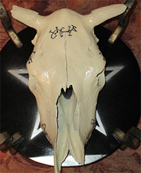 Череп ритуальный - вместилище духов