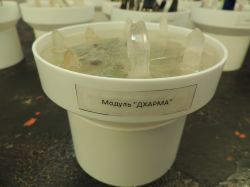 ДХАРМА - модуль для оргонного генератора GENEZIS 4.0-12.0,Гармонизатор торсионных полей, Квантовый резонатор высших энергий Додекахедрон, оргоника, оргонит, оргонный, торсионный, тахионный генератор, кибермагия, техномагия, радионика, псионика