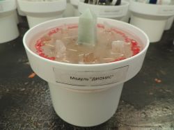 ДИОНИС - модуль для оргонного генератора GENEZIS 4.0-12.0,Гармонизатор торсионных полей, Квантовый резонатор высших энергий Додекахедрон, оргоника, оргонит, оргонный, торсионный, тахионный генератор, кибермагия, техномагия, радионика, псионика