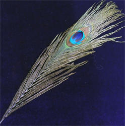 (Новинка!) Магическое перо ― HERMES-SHOP - ДОМ МАГИЧЕСКИХ АРТЕФАКТОВ