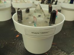 СФИНКС - модуль для оргонного генератора GENEZIS 4.0-12.0,Гармонизатор торсионных полей, Квантовый резонатор высших энергий Додекахедрон, оргоника, оргонит, оргонный, торсионный, тахионный генератор, кибермагия, техномагия, радионика, псионика