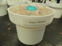 ТЕРАФИМ  - модуль для оргонного генератора GENEZIS 4.0-12.0,Гармонизатор торсионных полей, Квантовый резонатор высших энергий Додекахедрон, оргоника, оргонит, оргонный, торсионный, тахионный генератор, кибермагия, техномагия, радионика, псионика